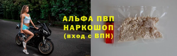мяу мяу мука Абаза