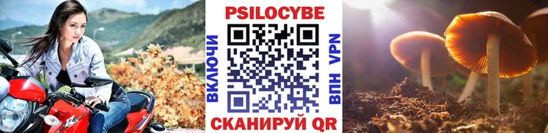 Галлюциногенные грибы мицелий Серпухов