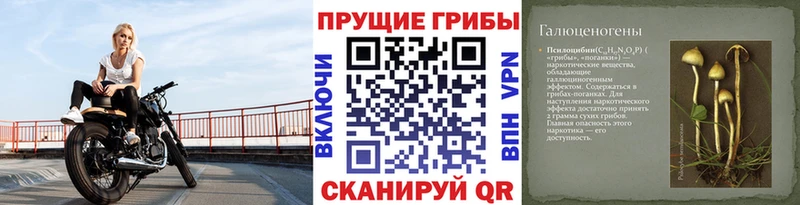 Галлюциногенные грибы Cubensis  Серпухов 